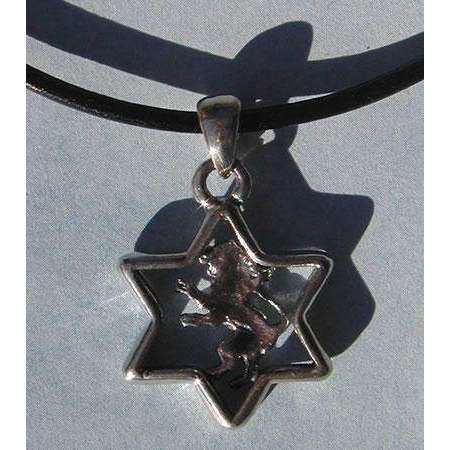 Michael Bromberg Lion of Judah in Star of David on Leather