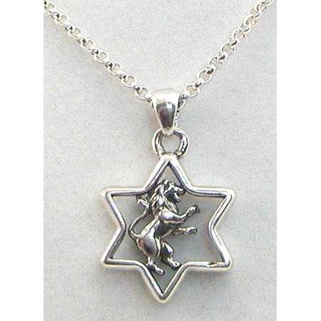 Michael Bromberg Sterling Silver Lion of Judah in Star of David Necklace