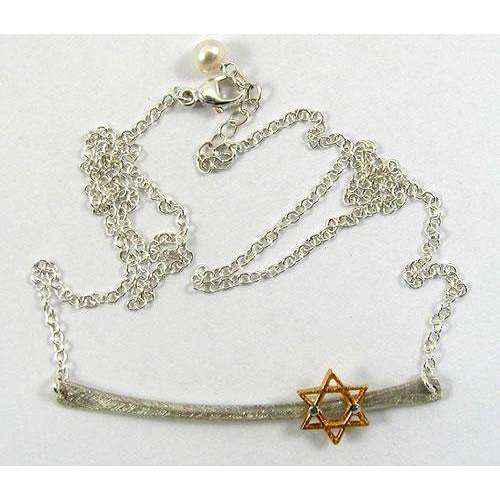 Zina Kao Gorgeous Star of David on Branch